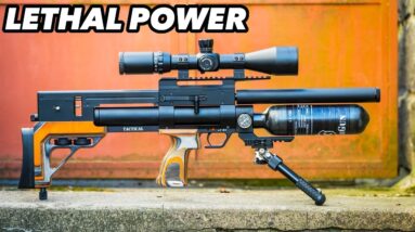 15 Deadliest Air Rifles You Can Actually Buy on Amazon 2025!