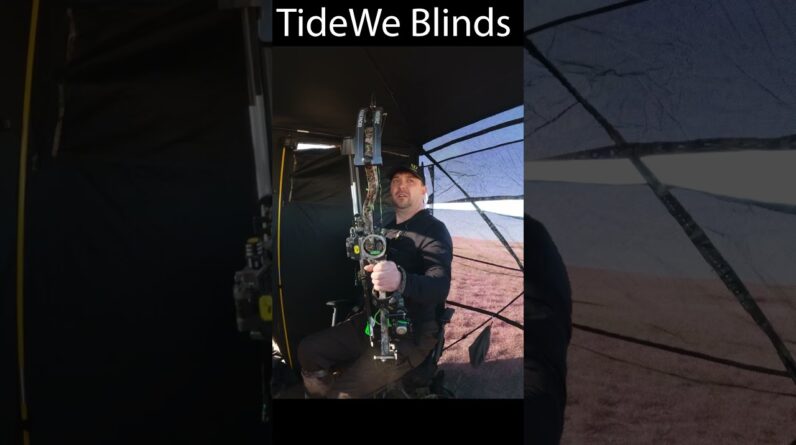 Success tastes sweet when your blind is on point. 🍂 Shop TideWe Blinds this BFCM! #TideWe