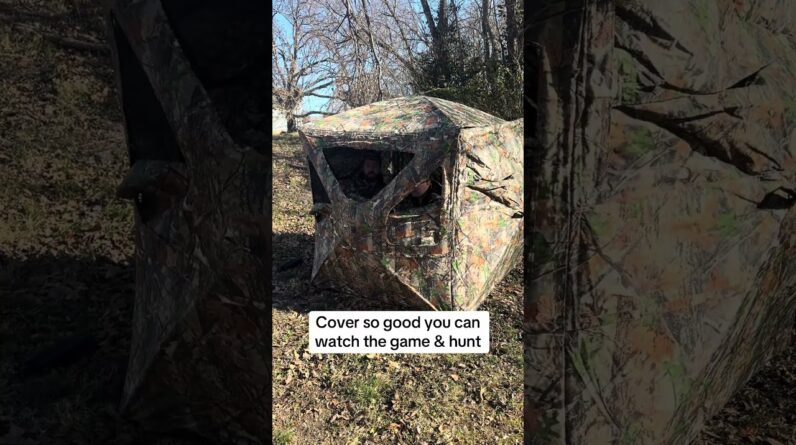 Cover so good you can watch the big game and still plan your next hunt 😄