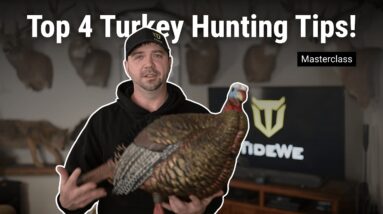 4 Spring Turkey Hunting Tips You Actually Need (2026)