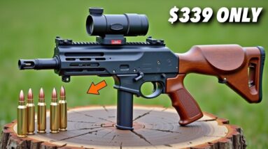 The Top 10 Fastest Selling Guns In The U S  Right NOW