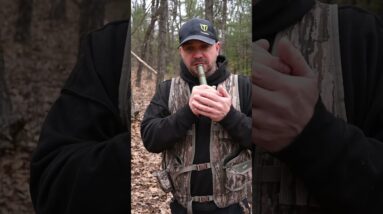 🦉 Hear the Hoot, Find the Gobbler. Pro tip: Early mornings, mimic an owl hoot. Gobblers will answer.