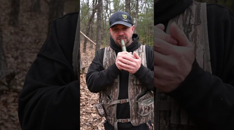 🦉 Hear the Hoot, Find the Gobbler. Pro tip: Early mornings, mimic an owl hoot. Gobblers will answer.