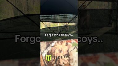 No decoys? No problem. 🦃😂#TIDEWE #HuntingBuddy #TurkeyHunting #HuntingBlind