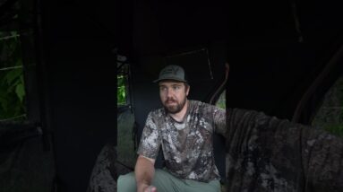 Late season is a great time to bring a camera into the blind. 🌲📸 #TIDEWE