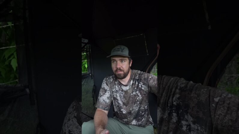 Late season is a great time to bring a camera into the blind. 🌲📸 #TIDEWE