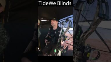 Success or failure is decided before you even react. Catch your success with TIDEWE blind.