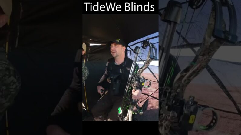 Success or failure is decided before you even react. Catch your success with TIDEWE blind.
