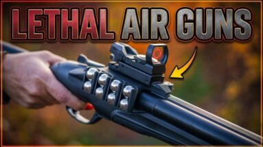 10 Most-Lethal Air Rifles Available On AMAZON UNDER $100!
