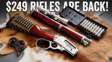 7 Surprisingly Great Guns Under $300 - Selling Out FAST in 2026!