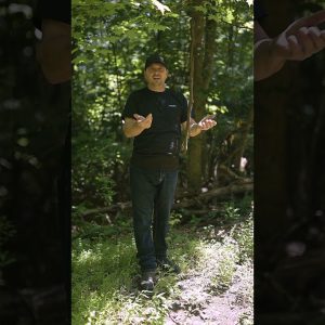 🦌 Summer Scouting Tip: Mock scrapes aren't just for fall. Hang a trail camera, and see what shows up