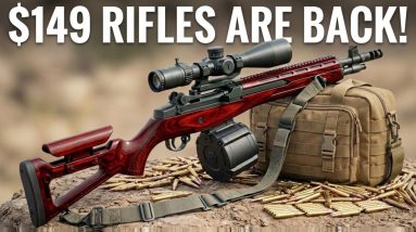 10 Dirt-Cheap GUNS Under $250 You Need to See — FOR NOW!