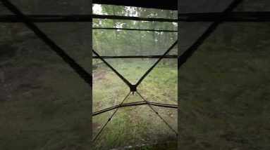 Why the VisTall 360 Is Different | No Blind Spots. More Opportunities.#TIDEWE #Whitetail #Bowhunting