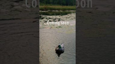 Waterfowl season is getting closer. And we’ve got a few new things worth waiting for. Coming soon.