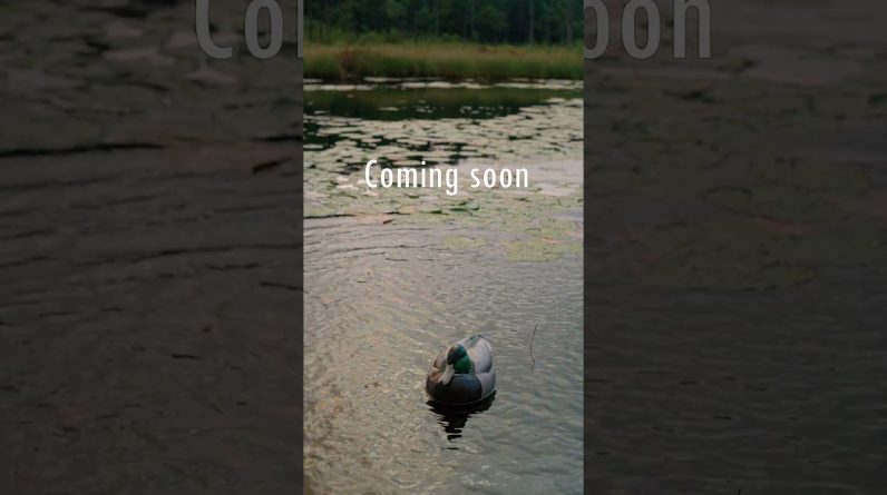Waterfowl season is getting closer. And we’ve got a few new things worth waiting for. Coming soon.