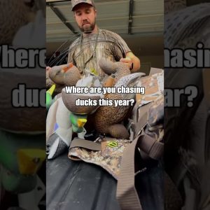 Where are you chasing ducks this year? Drop your state here & tell us what the water throws at you!