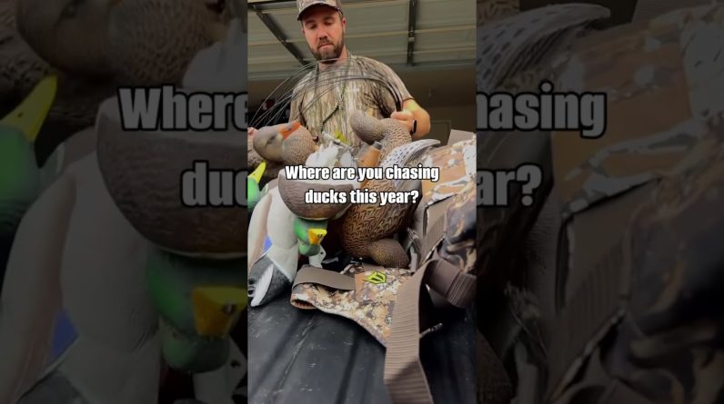 Where are you chasing ducks this year? Drop your state here & tell us what the water throws at you!