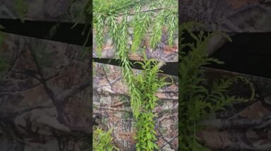 Make your TIDEWE blind look like it belongs there. Brush loops make it easy to add natural cover.