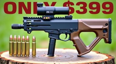 Why This $350 NEW Gun Is Selling Out Everywhere!